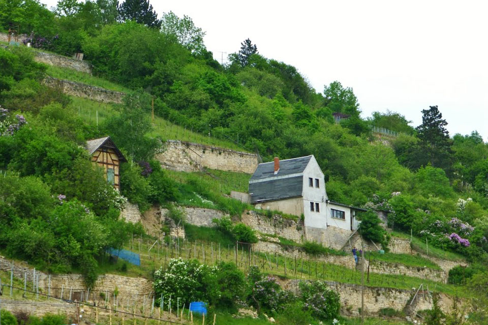 Schweigenberg near Freyburg. Source: Wikipedia